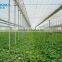 Easily Assembled Polycarbonate PC Sheet Greenhouse For Agriculture