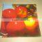 Fruit printing glass plate custom printing glass plate