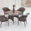 Outdoor Dining Chair and Table Set/Wicker Furniture/Garden Outdoor Furniture
