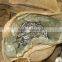 Galvanized link chain ,steel chain link factory with workable prices