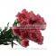 on line shopping fresh fresh cut flower carnation cut price from china