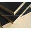 Construction Plywood
