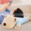 Custom Bluetooth Music Pillow Doll