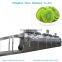 chinese herbal medicine vacuum multilayer belt dryer