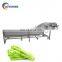 with flat roller conveyor bubble type cheap strawberry washing machine
