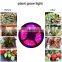 DC12V 300LEDS 5Meters Per Roll Red:Blue 3:1,4:1,5:1 Led Grow Strip Tube Light