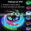12V LED Strip Light WS2815 Individually Addressable RGB LED Pixel Strip 16.4ft 300 LEDs