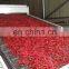 Continuous mesh belt type rotary  chili drying processing machine