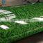Flower Design PPGI/Printed PPGI/Wood/Marble/Brick/Camouflage color coated steel coil PPGI