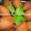 Lebanese Kibbeh With Lemon Tahini Kuba Machine Middle East Food