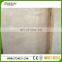 Low Price Marble Stone Turkey Natural Marble