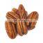 Fresh Pecan nuts For Sell to Thailand