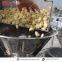 Automatic Garlic Sauce Production Line Ginger Garlic Paste Making Machine Price