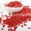 500grains/50g dried goji berry