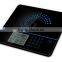 nutrition scale analyze protein fat salt sugar cholesterol calories