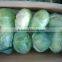 10/15KG CARTON BAGS NEW CROP FRESH CABBAGE