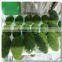 Factory price foam material artificial stone moss stone for window display decor