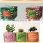 Best Selling gifts under 1.00 DIY mini bonsai birthday gifts for girl child , cheap gifts