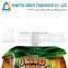 Fruit shaped spout pouch