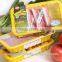 China Professional Manufacturer&Exporter FDA Approval Plastic Fresh Meat Container