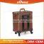 Professional Guangzhou Factory Wholesale Makeup Artist Trolley Beauty Box