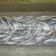 Frozen Sardine Whole Round