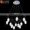 Modern LED Chips Lights Acrylic Pendant Chandelier Bottle Chandelier Lampardis OM88213-8W