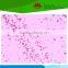 High quality Individual microbiology type microscope prepared slides