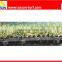 Easy Installation Grass Interlocking Tile