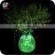 Home Battery Operated Yellow Micro LED String Lights