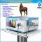 ESWT shock wave therapy equipment for Horse tendon injuries