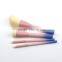 Wholesale beauty supply custom logo makeup brushes beauty travel makeup brush set