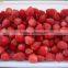CHINA IQF fragaria ananassa