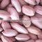 Chinese Peanut In Shell 2016 Crop High Quality