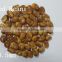 Snacks Food Fried Split Peeled Broad Beans supplier Beef Taste Sale,Friend Canned,Tin,FDA registered