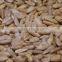 sunflower kernels from factory sunflower seeds for bird feeding Chinese Seed Kernels Peeled