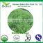 100% natrual stevia leaves dried rebaudiana extract