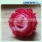 Natural preserved fresh rose wholesal flower Multi colored Preserved Roses