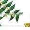 Neem Oil 100% Natural