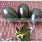 very green top quality xiuyan jade egg set yoni eggs