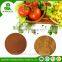 Hot sell practical fulvic fertilizer npk for the world