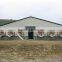 125x21x2.5m light steel structure chicken house in middle east
