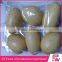 hot products for united states 2016 plastic surprise eggs for interior decoration