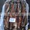 made in japan of illex squid