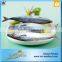Frozen Mackerel From China Seafood Market