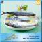 King Marine Whole Round Frozen Mackerel Fish