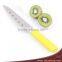 High quality plastic handle stainless steel Japanese style utility knives,Sashimi knives,paring knives with 6 holes
