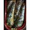 Canned Sardines