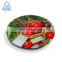 High End Quality 5kg1g Digital Kitchen Scale Highly Accurate Round Food Scale