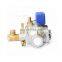 ACT natural gas pressure regulator CNG Medium pressure cng gnc reducer at12 gas equipment for auto